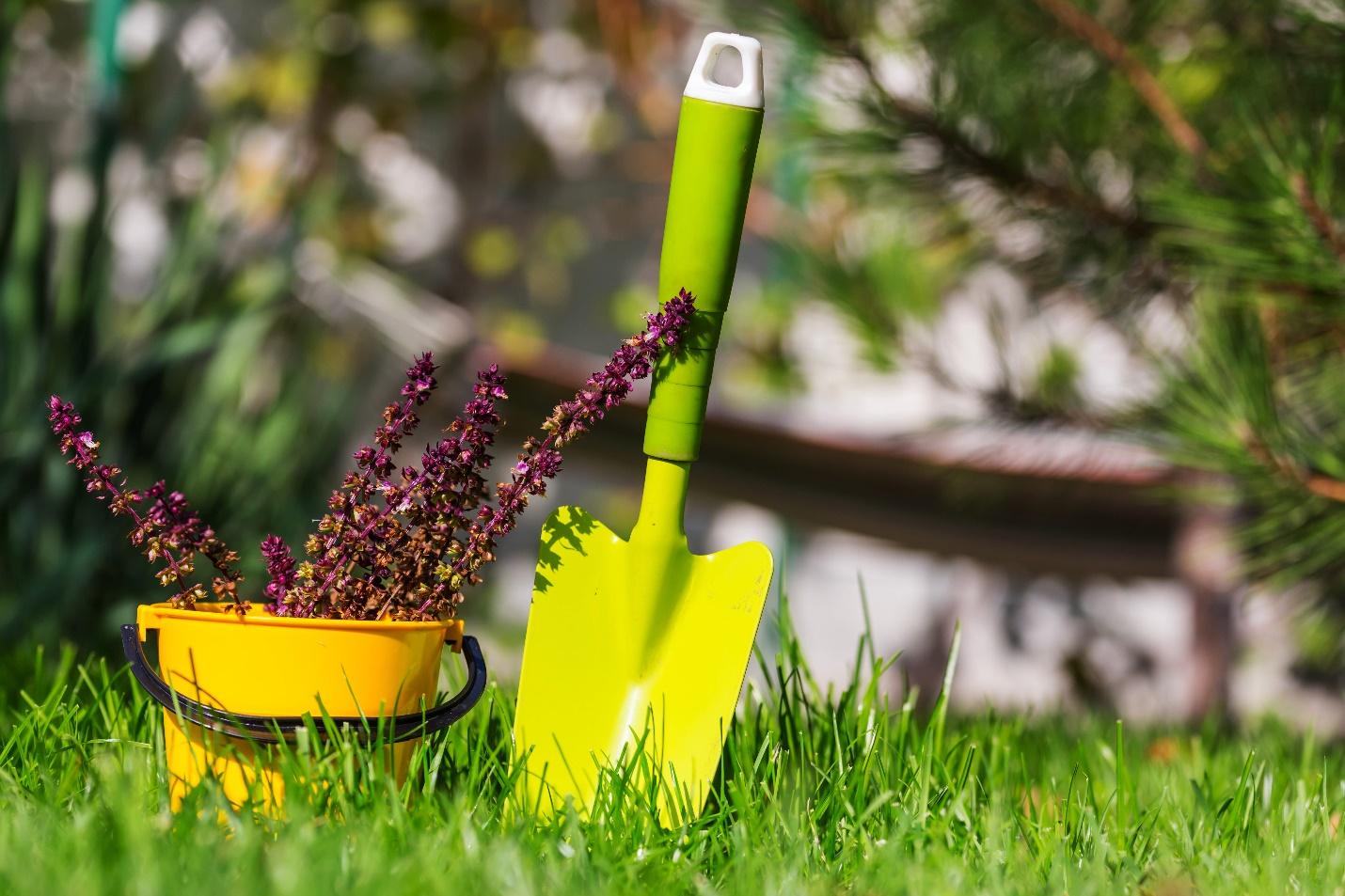 Lawn Care and maintenance 