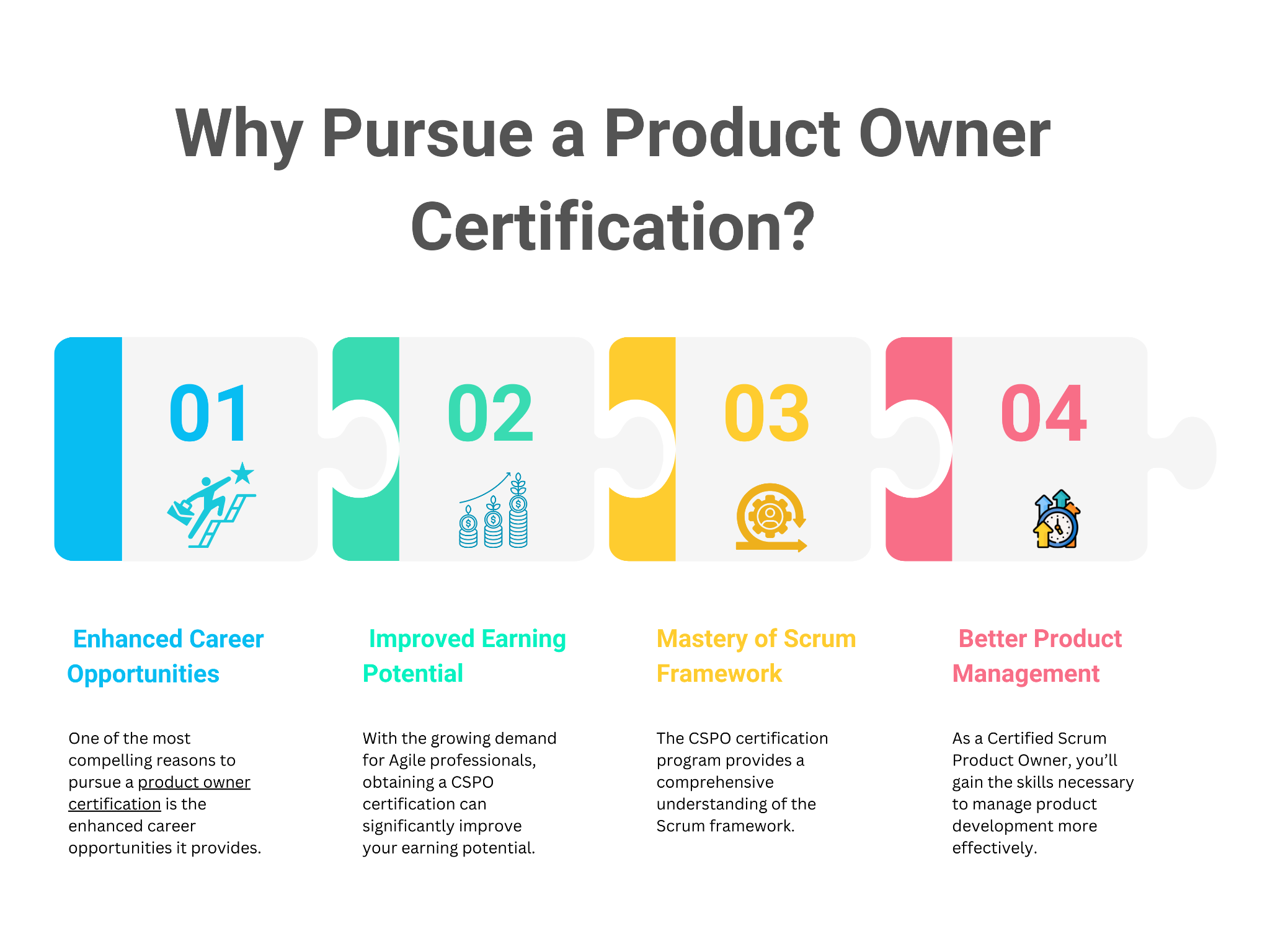 Certified Scrum Product Owner