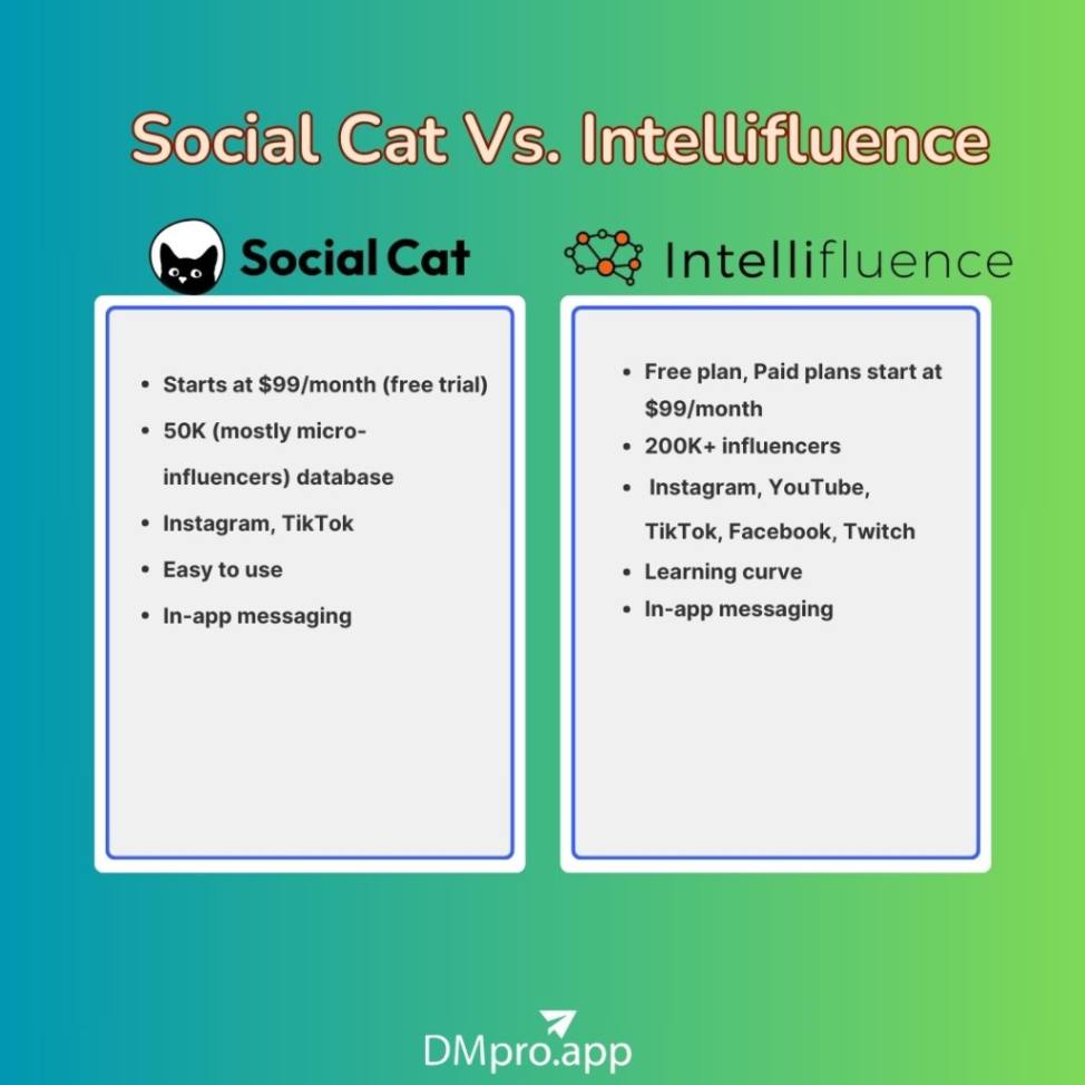 Social Cat Vs. Intellifluence