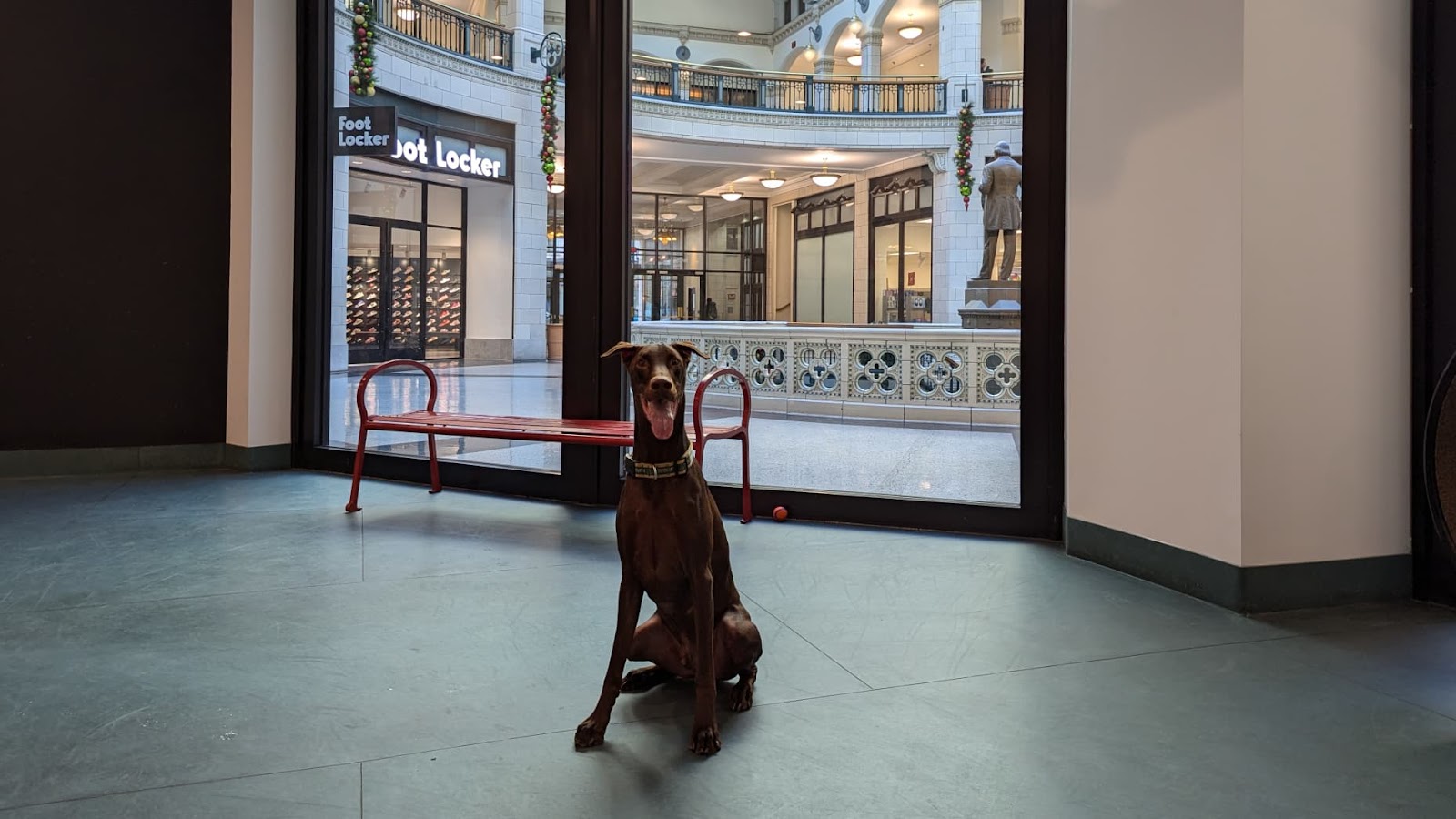 John Borchardt's dog Rodger enjoys going for walks inside of the former Grand Avenye Mall and visiting TJ Maxx.