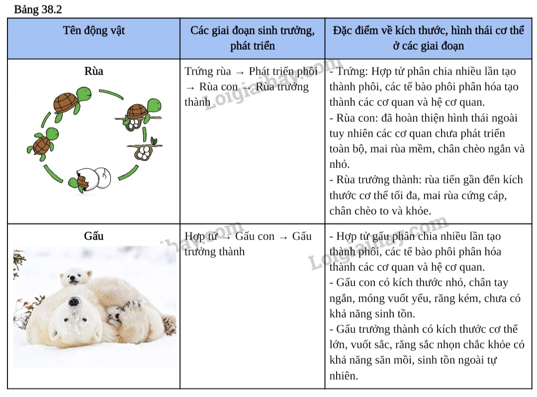 BÀI 38. THỰC HÀNH: QUAN SÁT, MÔ TẢ SỰ SINH TRƯỞNG VÀ PHÁT TRIỂN Ở MỘT SỐ LOÀI SINH VẬT