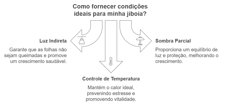 Iluminação e Temperatura Ideais