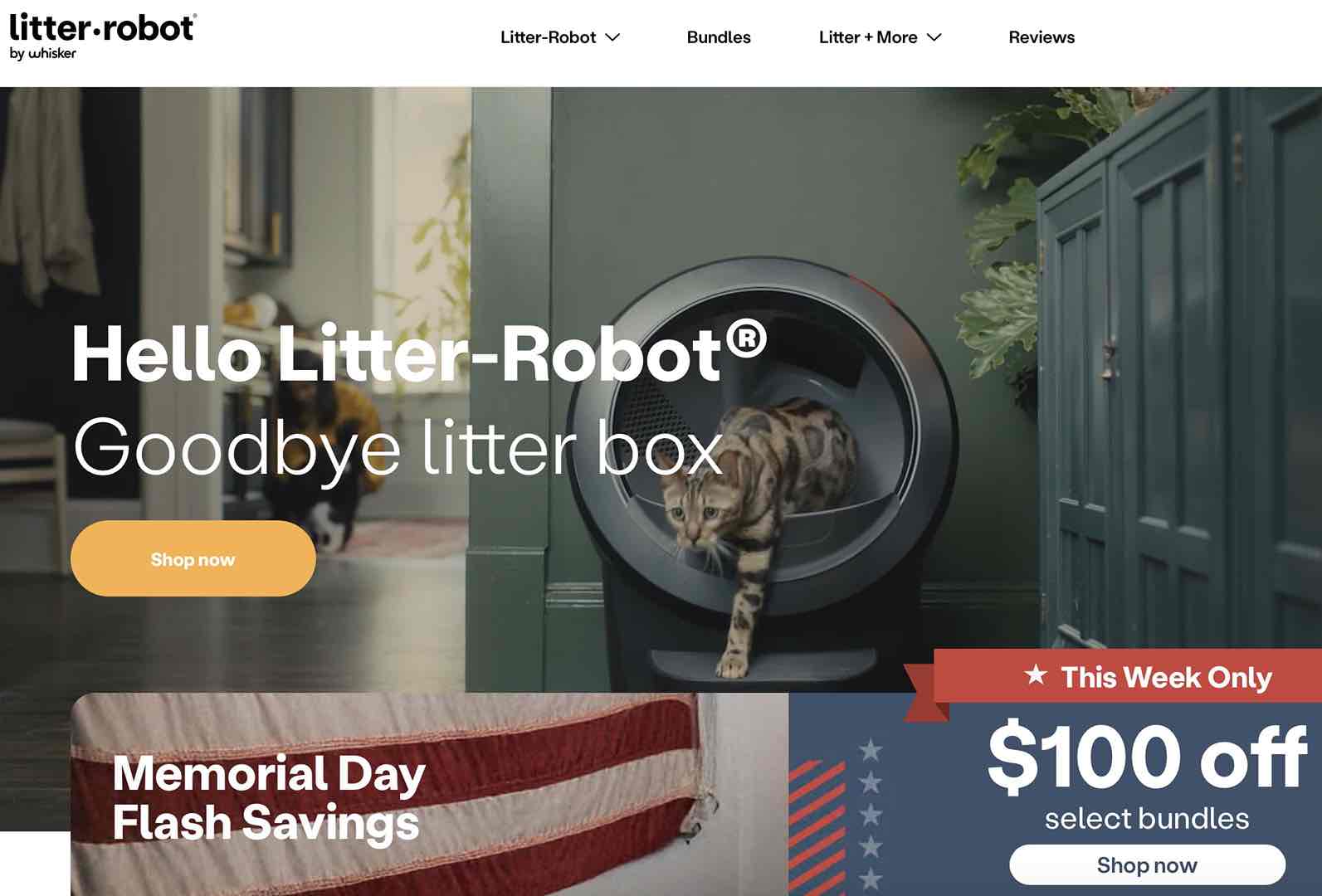A screenshot of Litter-Robot as a pet brand looking influencers 