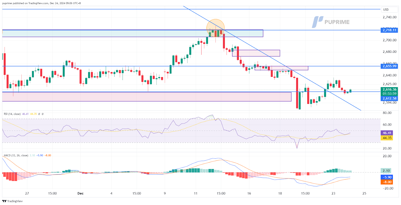 XAU/USD gold price chart 24 December 2024