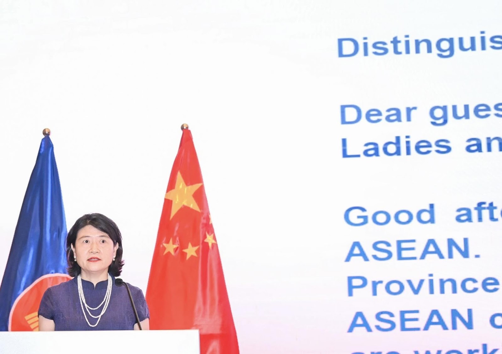 A person standing behind a podium with a flag and a flagDescription automatically generated