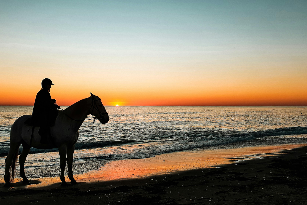 horseback riding during sunset in Punta Uva 