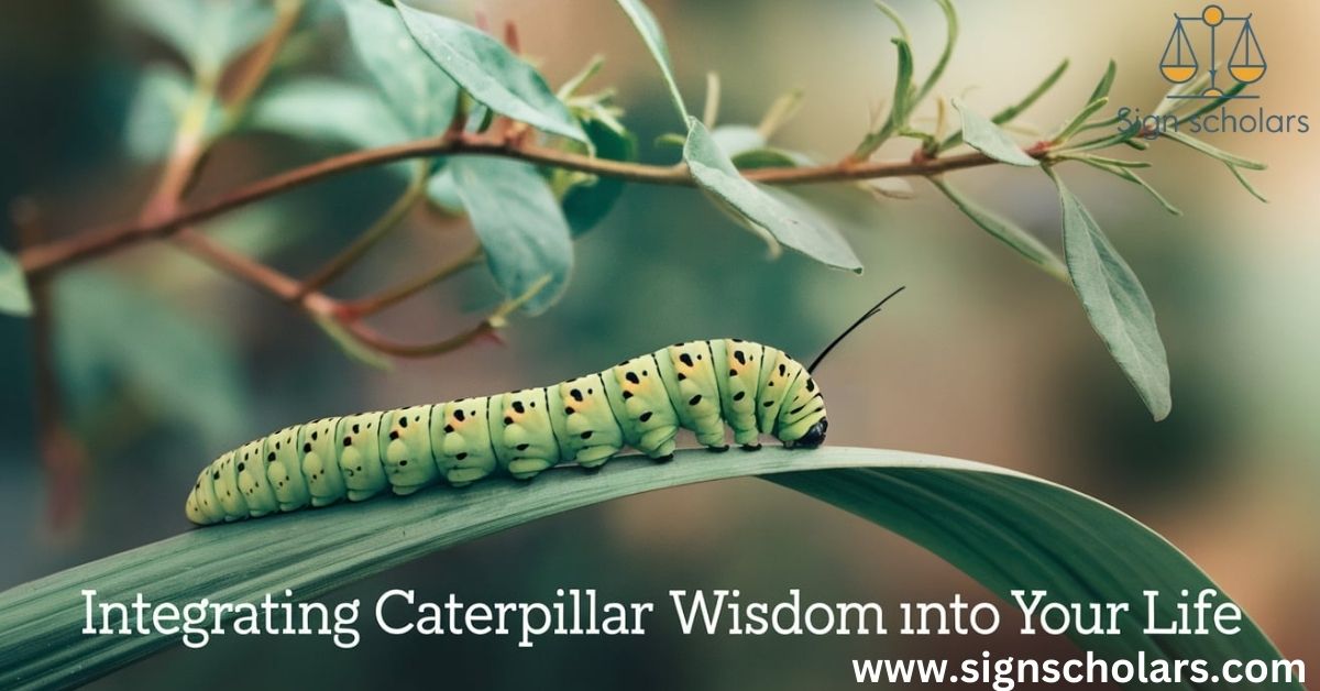 Integrating Caterpillar Wisdom into Your Life