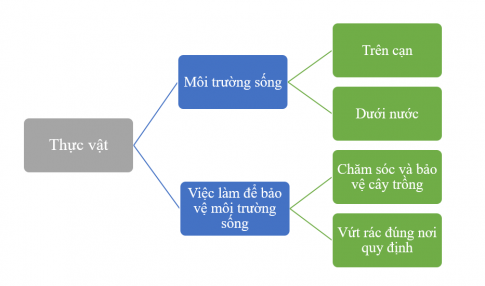 BÀI 20. ÔN TẬP CHỦ ĐỀ THỰC VẬT VÀ ĐỘNG VẬT