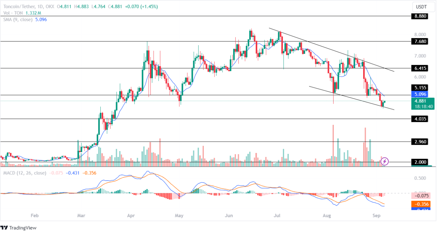 Với 87,2% nhà đầu tư thua lỗ, token TON & NOT cảnh báo sự cố lớn?