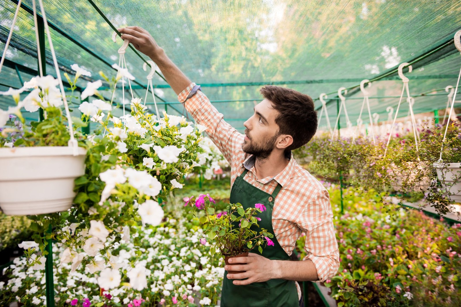 Gardening as Therapy