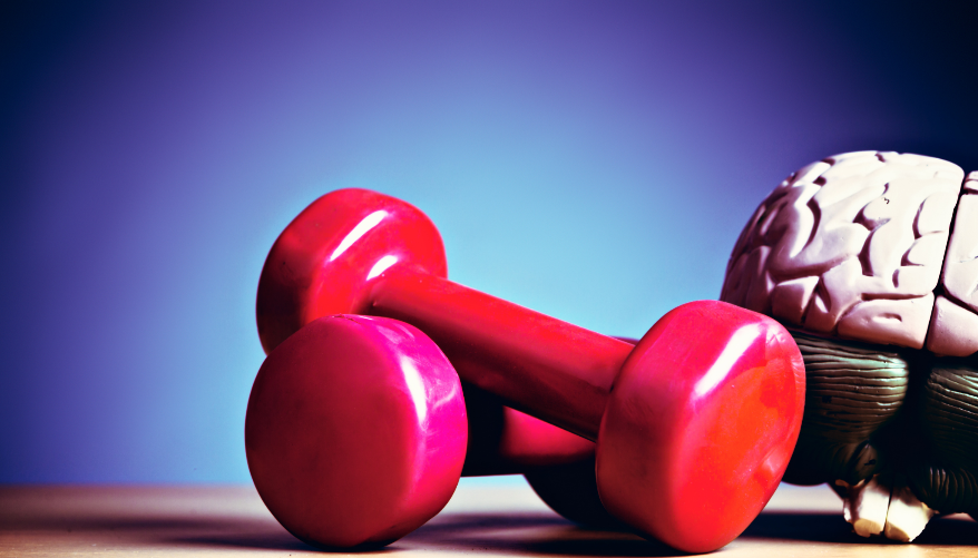 A pair of red dumbbells

AI-generated content may be incorrect.