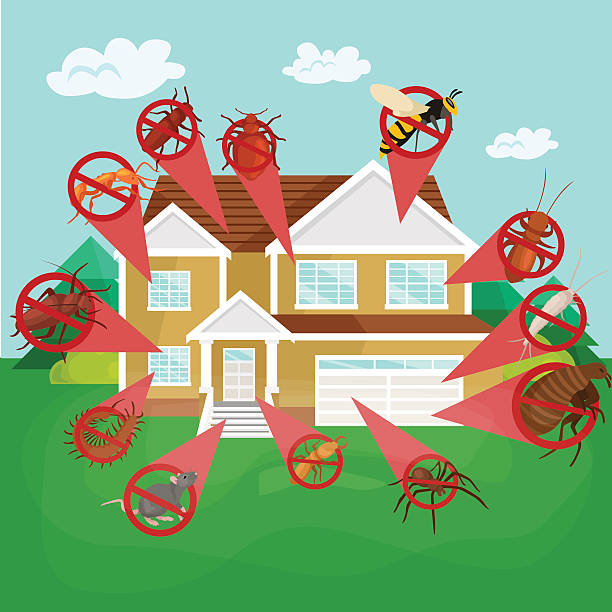 Best Time for Pest Control Services