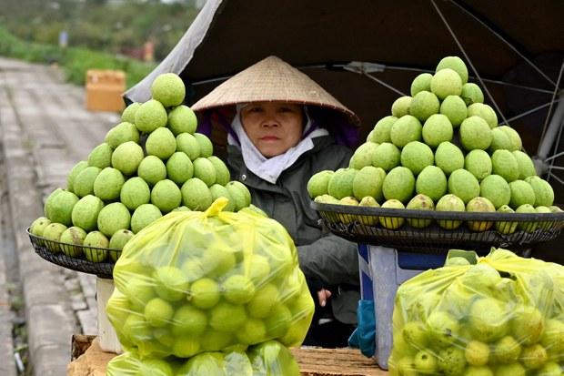 Giới xuất khẩu Việt Nam đối mặt biện pháp VSATTP, Kiểm dịch động/thực vật mới từ WTO