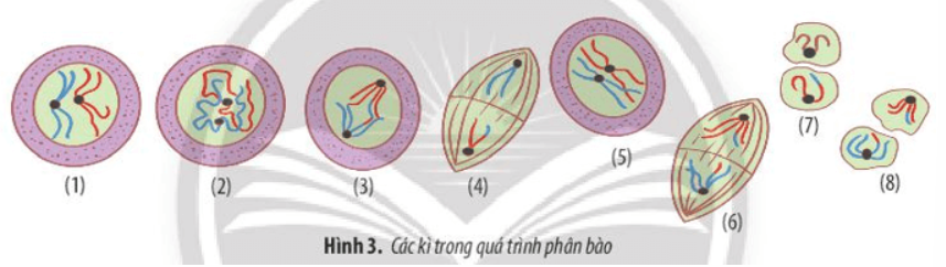 ÔN TẬP CHƯƠNG 4