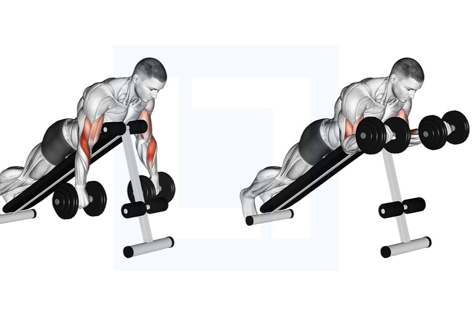 Dumbbell Spider Curl