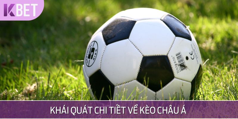Minh hoạ chi tiết về kèo châu á
