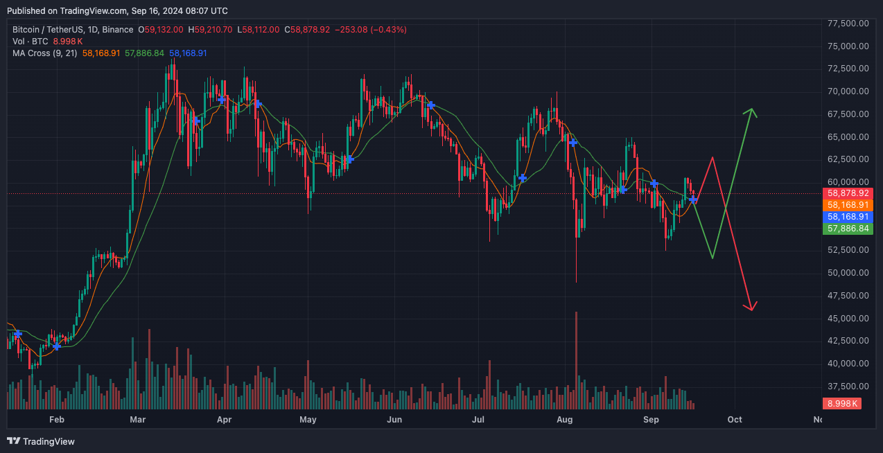 crypto market