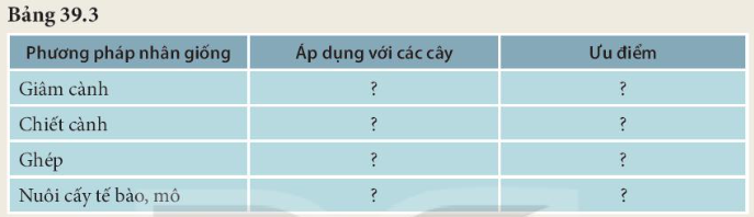 BÀI 39. SINH SẢN VÔ TÍNH Ở SINH VẬT MỞ ĐẦUCâu hỏi: Những ‘nhành cây’ với màu sắc rực rỡ trong hình bên là các tập đoàn san hô gồm hàng nghìn cá thể dính liền với nhau, được tạo thành nhờ hình thức sinh sản vô tính. Vậy sinh sản vô tính là gì?Đáp án chuẩn:Sinh sản vô tính là hình thức sinh sản không có sự kết hợp giữa giao tử đực và giao tử cái, cơ thể san hô con được tạo thành từ một phần của cơ thể mẹ.I. SINH SẢN LÀ GÌ?Câu hỏi: Quan sát hình 39.1 kết hợp kiến thức đã biết, hãy nêu khái niệm sinh sản và lấy ví dụĐáp án chuẩn:Sinh sản là quá trình tạo ra những cá thể mới, đảm bảo sự phát triển liên tục của loài. VD: Gà đẻ trứng.II. SINH SẢN VÔ TÍNH1. Khái niệmCâu 1: Quan sát hình 39.2 và 39.3, 39.4 kết hợp đọc thông tin trong mục II, đánh dấu X vào ô phù hợp theo mẫu bảng 39.1Đáp án chuẩn: Con sinh ra có sự kết hợp của giao tử đực và giao tử cáiCon sinh ra từ một phần cơ thể mẹCon có các đặc điểm giống hệt cơ thể mẹCon có những đặc điểm khác cơ thể mẹSinh sản ở trùng roi xx Sinh sản ở cây gừng xx Sinh sản ở thủy tức xx Câu 2: Dựa vào kết quả ở câu 1, em hãy nêu các đặc điểm của sinh sản vô tínhĐáp án chuẩn:Con sinh ra không có sự kết hợp của giao tử đực và cái, cơ thể con được tạo thành từ một phần cơ thể mẹ, con cái sinh ra giống nhau và giống cá thể mẹ.2. Các hình thức sinh sản vô tính ở thực vậtCâu hỏi: Hãy kể tên một số loài cây khác có khả năng sinh sản bằng rễ, thân, lá mà em biếtVì sao người ta gọi hình thức sinh sản từ rễ, thân, lá là sinh sản sinh dưỡng?Đáp án chuẩn:- Sinh sản bằng rễ: gừng, cỏ mần trầu, cây dong ta,…- Sinh sản bằng thân: sắn, khoai lang, rau má, rau ngót,…- Sinh sản bằng lá: cây thuốc bỏng, cây càng cua, cây bèo cái, cây sam nhật,…- Gọi là sinh sản sinh dưỡng vì ở hình thức này cơ thể mới được hình thành từ cơ quan sinh dưỡng từ của cơ thể mẹ (thân, rễ, lá).3. CÁC HÌNH THỨC SINH SẢN VÔ TÍNH Ở ĐỘNG VẬTCâu hỏi: Đọc thông tin mục 3 và hoàn thành bản theo mẫu bảng 39.2Đáp án chuẩn:Đặc điểmHình thứcsinh sảnGiốngKhácNảy chồiKhông có sự kết hợp của giao tử đực và giao tử cái, con sinh ra giống hệt nhau và giống hệt mẹ.“Chồi” được mọc ra từ cơ thể mẹ, lớn dần lên và tách ra khỏi cơ thể mẹ thành cơ thể mới hoặc vẫn dính với cơ thể mẹ tạo thành tập đoàn.Phân mảnhMỗi mảnh nhỏ riêng biệt của cơ thể mẹ phát triển thành một cơ thể mới hoàn chỉnhTrình sảnTế bào trứng không thụ tinh phát triển thành cơ thể mới4. Vai trò và ứng dụng của sinh sản vô tính