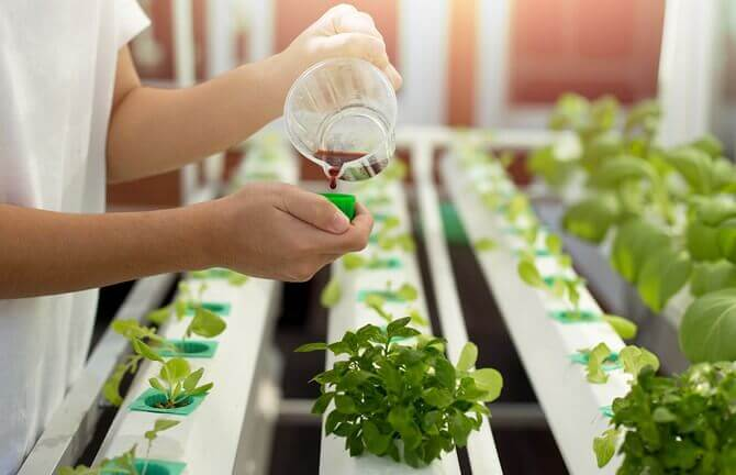 Tips to Use the Hydroponic Nutrients