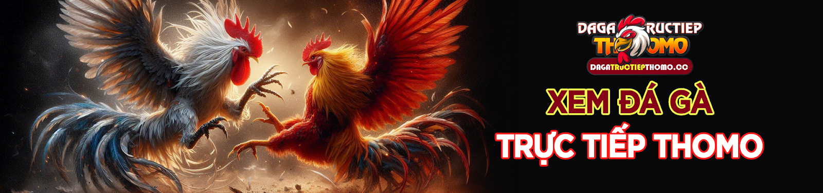 Link Đá Gà Trực Tiếp Thomo Campuchia