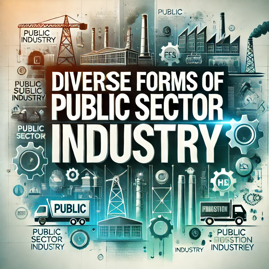 what is public sector industry