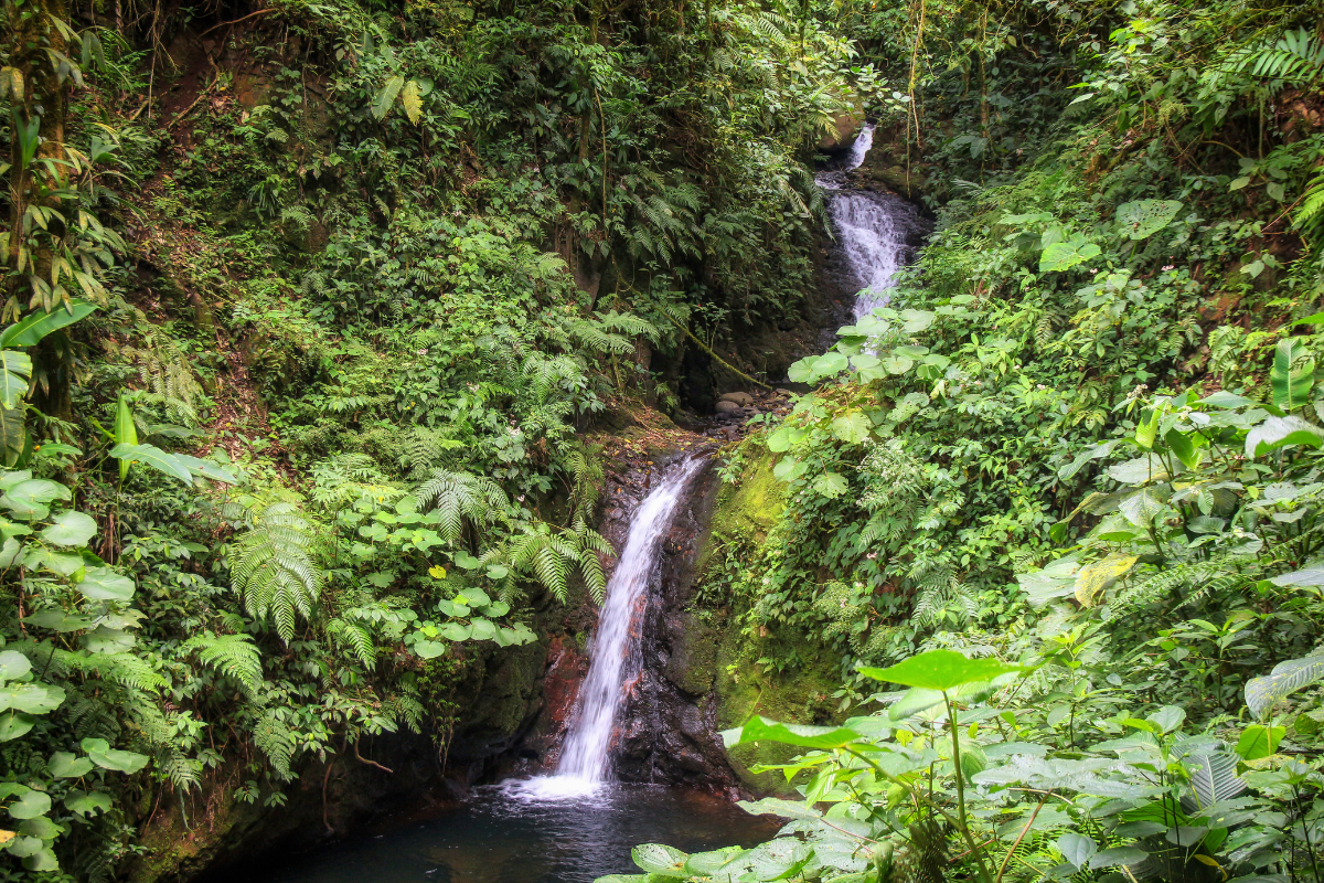 Pura Vida waterfall
