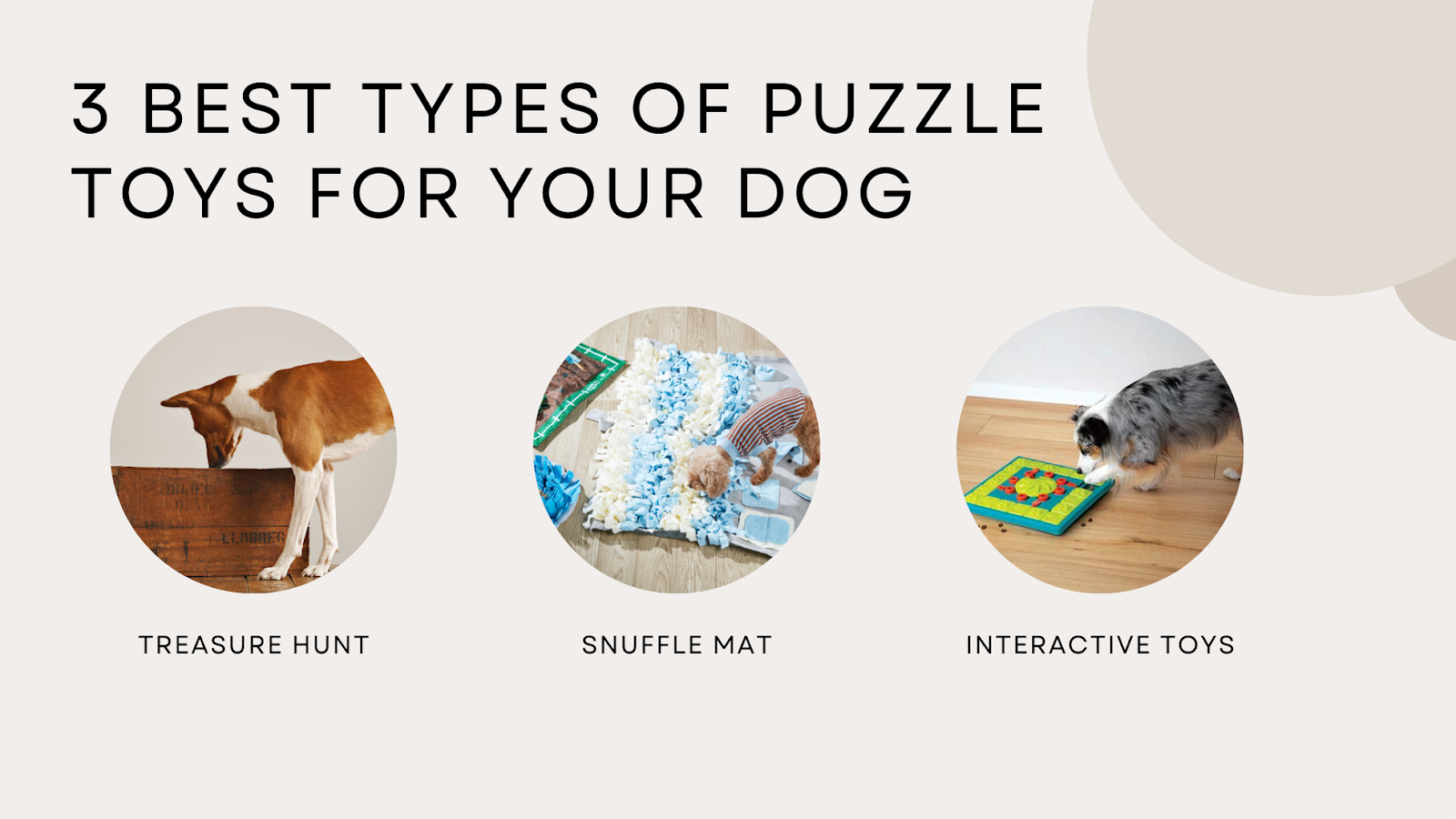 3 best types of puzzle toys for your dog