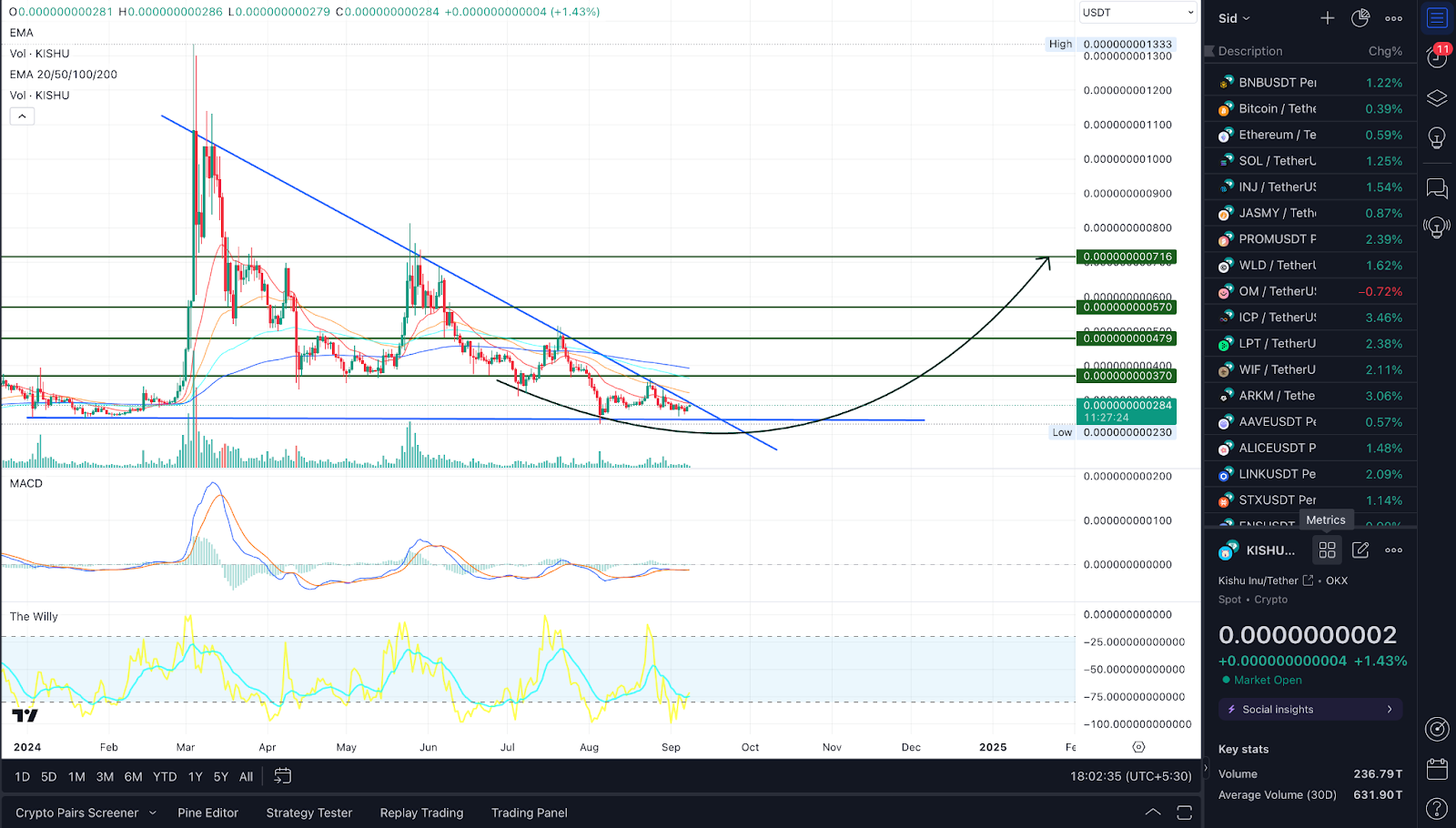 KISHU Price Prediction: 2024, 2025, 2030, and Beyond