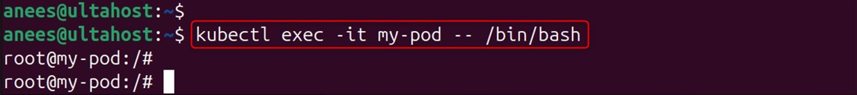  Interactive Shell Access