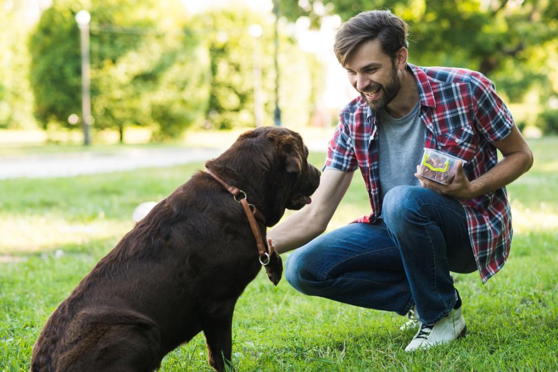 A man playing with his dog in the garden