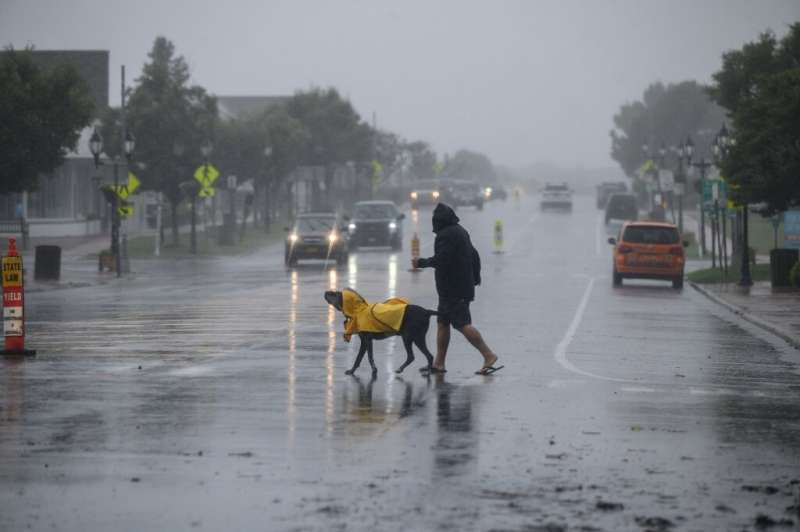 A man and his dog walk across the street.