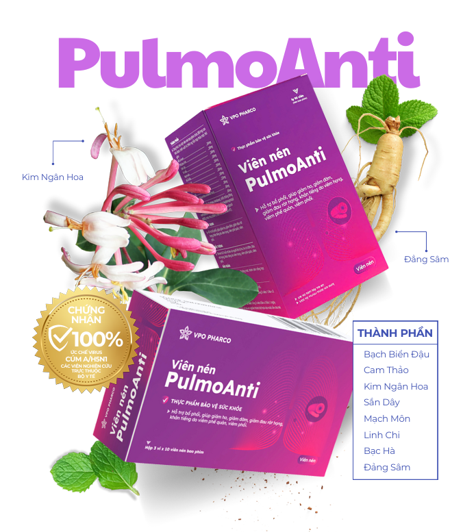 Viên nén PulmoAnti là giải pháp điều trị các triệu chứng viêm phổi, viêm phế quản cấp và mãn tính an toàn, nhanh chóng tại nhà.