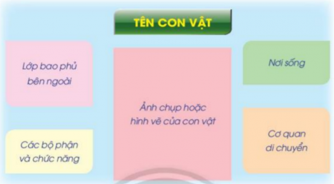 BÀI 19. ÔN TẬP CHỦ ĐỀ THỰC VẬT VÀ ĐỘNG VẬT