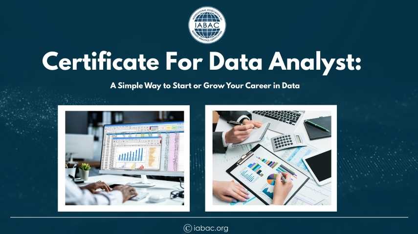 Data Analyst