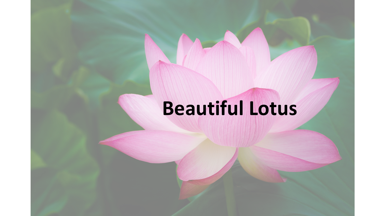 A lotus picture with less transparency and a text "Beautiful Lotus" is placed on the flower. 