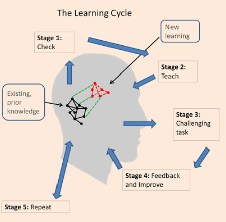 Geoff Petty’s Learning Cycle Diagram (Petty diagram • Evidence Based Teachers Network 2017)