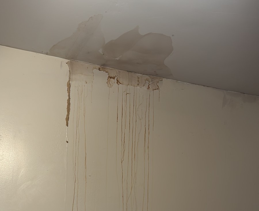 Brown water stains on the ceiling and drips down the wall.