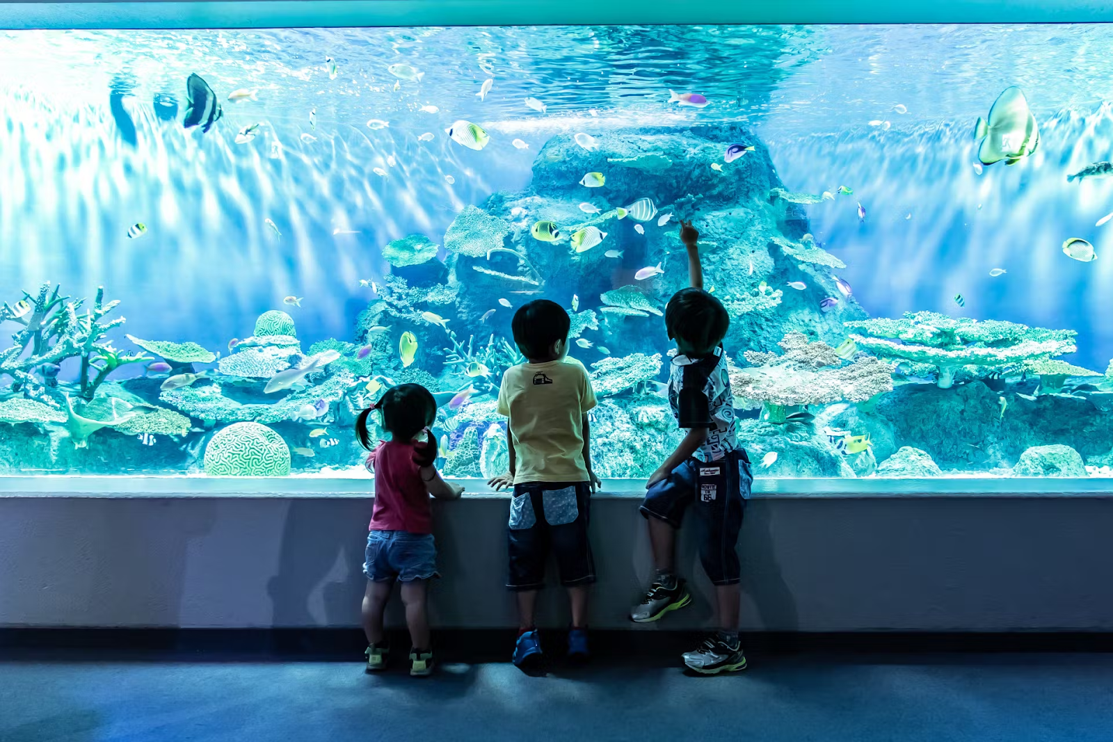 しながわ水族館の写真