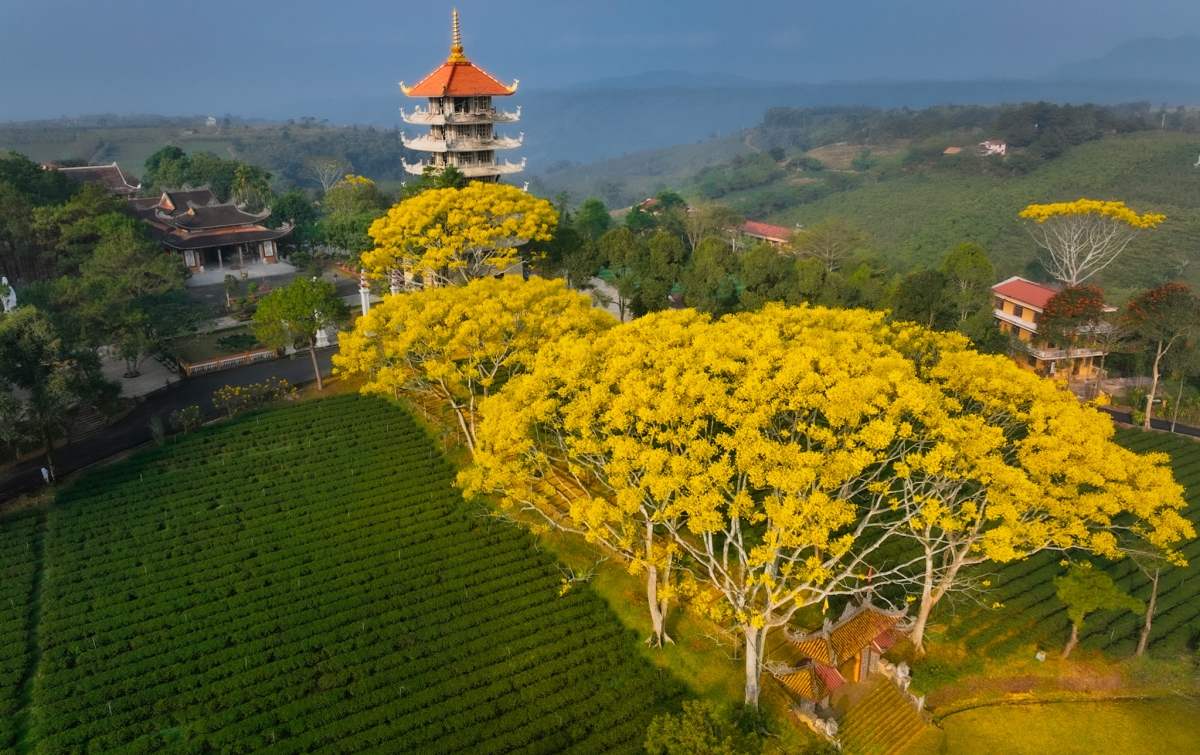 Tu Viện Bát Nhã