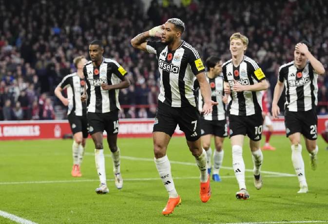 Nhận định soi kèo Ipswich Town vs Newcastle, 22h00 ngày 21/12: Đả bại tân binh