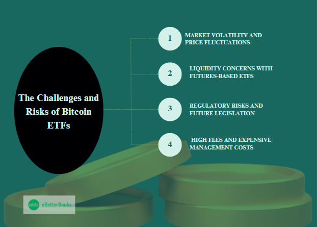 Challenges and Risks of Bitcoin ETFs, Understanding the Potential Pitfalls of Bitcoin Exchange-Traded Funds