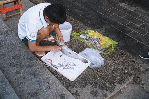 Ministry of Finance Steps to Strengthen Local Markets