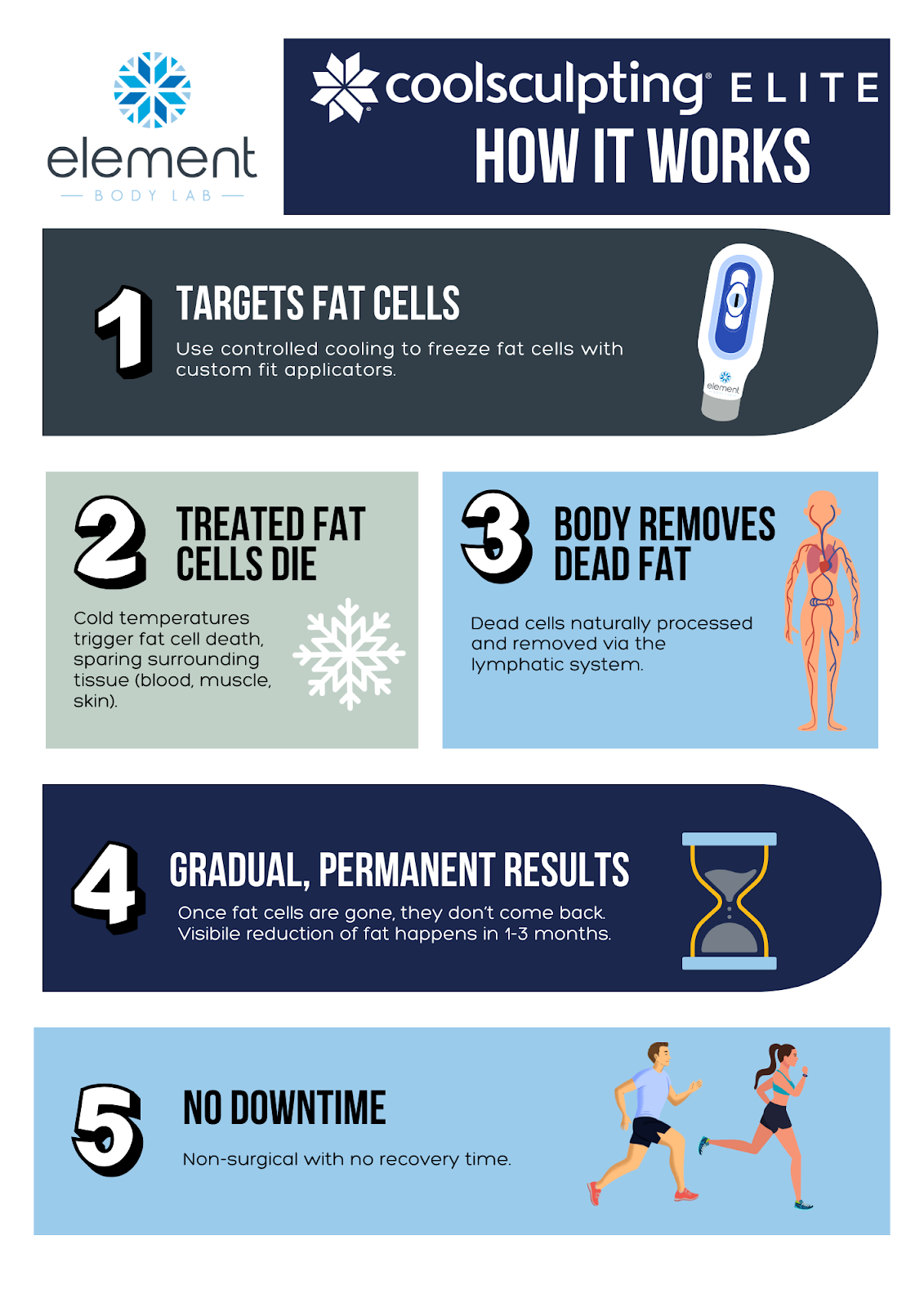 how it works infographic from element body lab