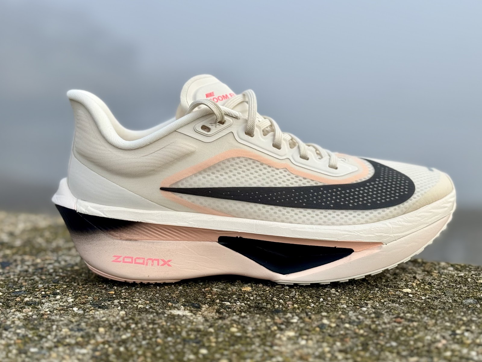 Nike elite zoom fly best sale