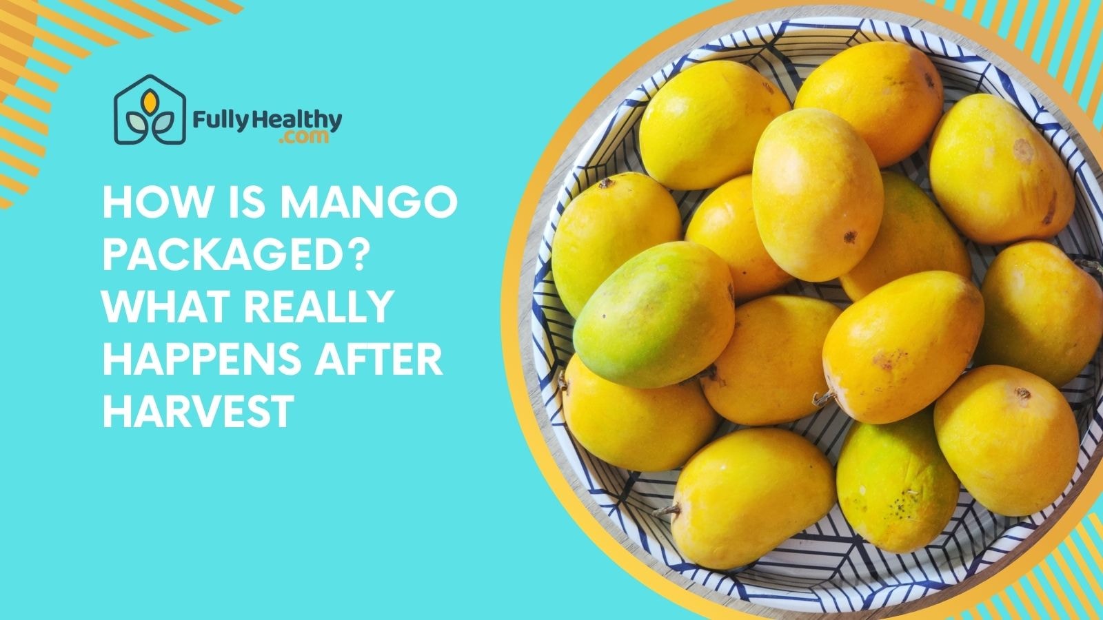 How Is Mango Packaged? What Really Happens After Harvest