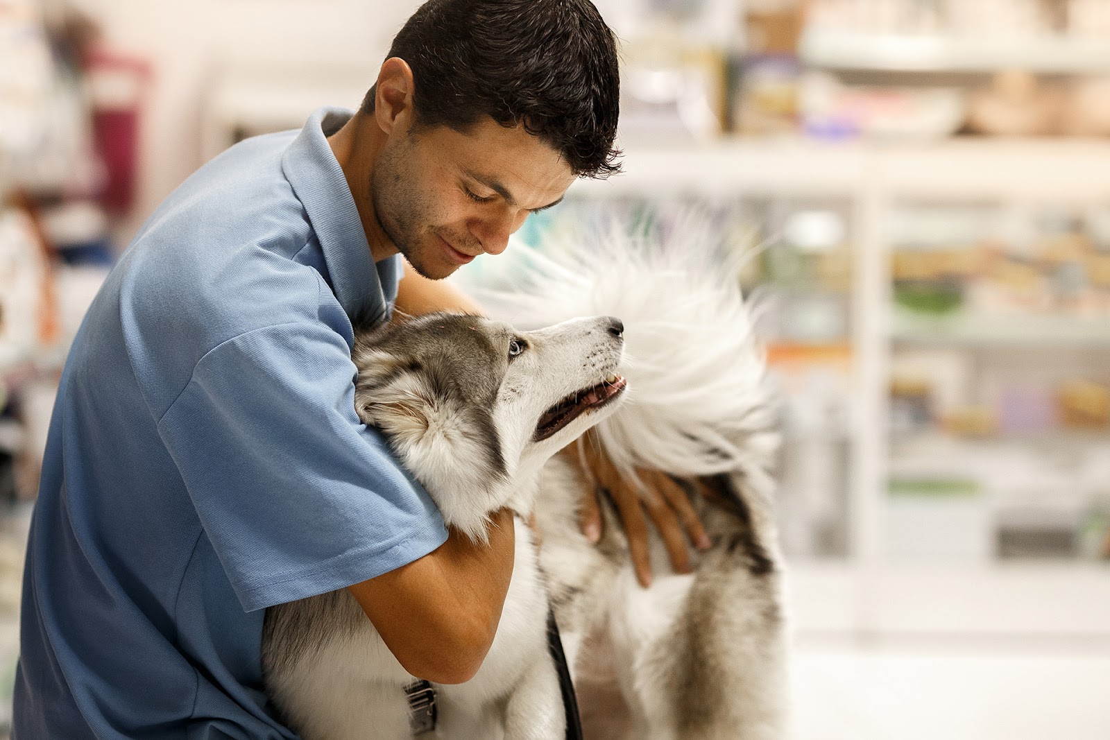 funcionário de pet shop recebendo pet 