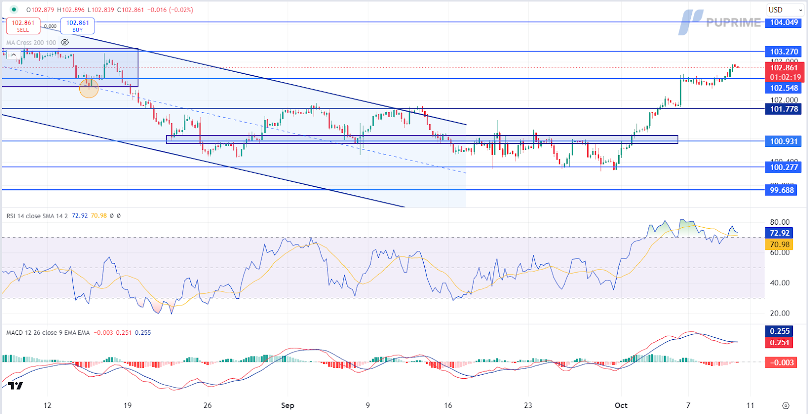 DXY 10102024