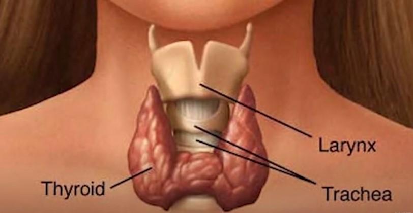 hyperthyroidism symptoms of thyroid