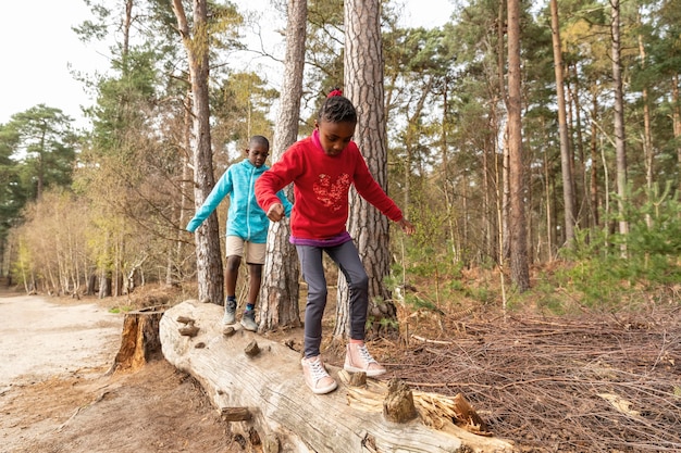 Best Mountain Trails for Beginners