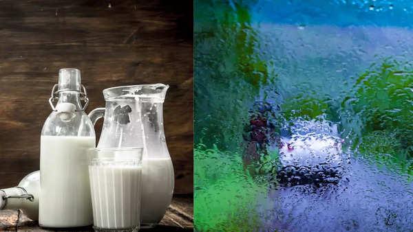 Why does milk turn sour in monsoons? Easy ways to prevent milk from turning  sour? - Times of India